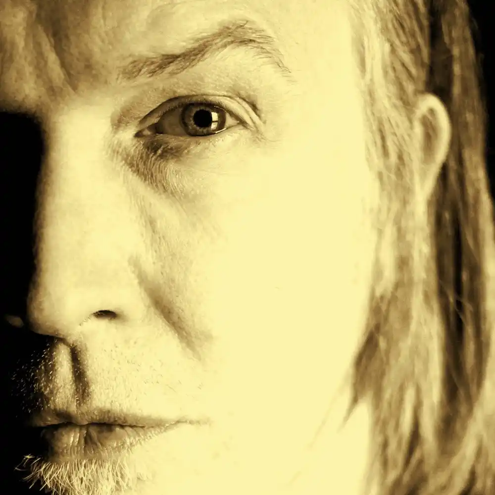 David Sylvian