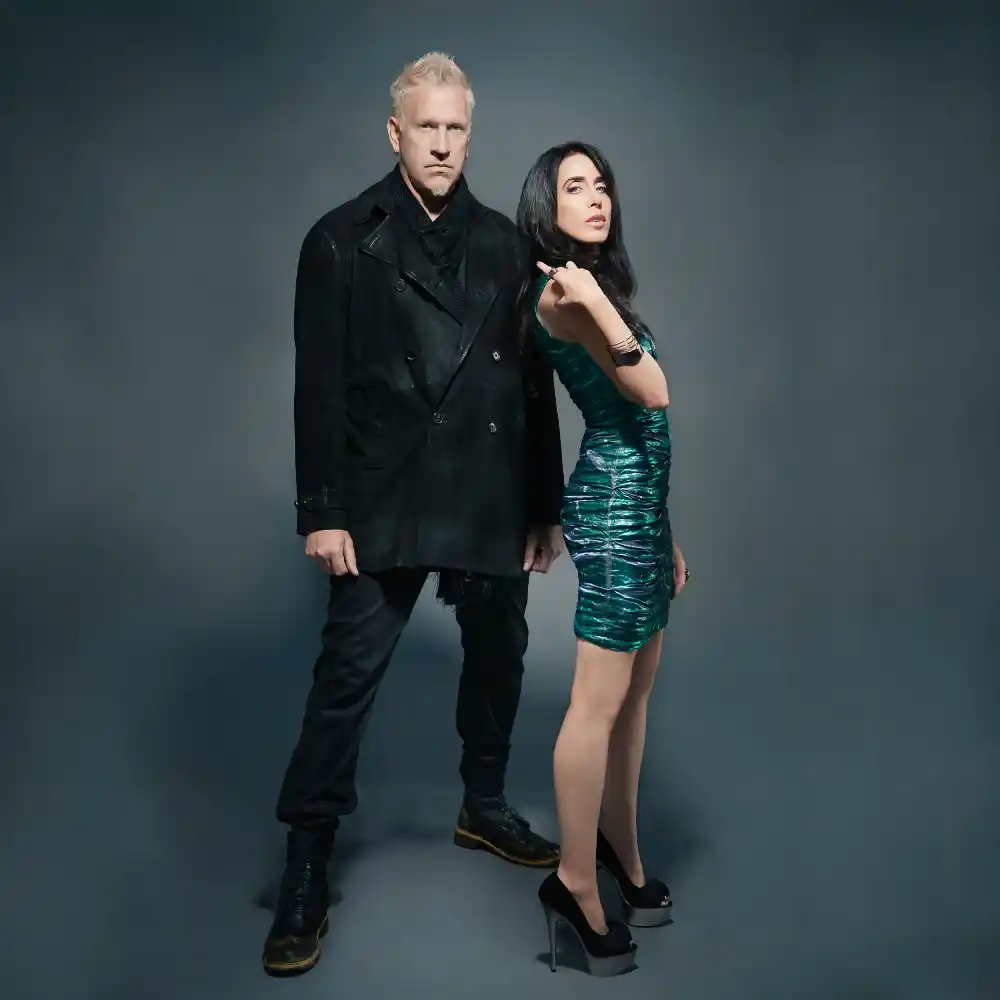 Kidneythieves