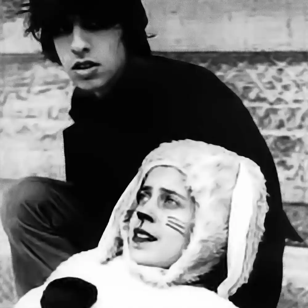 The Moldy Peaches