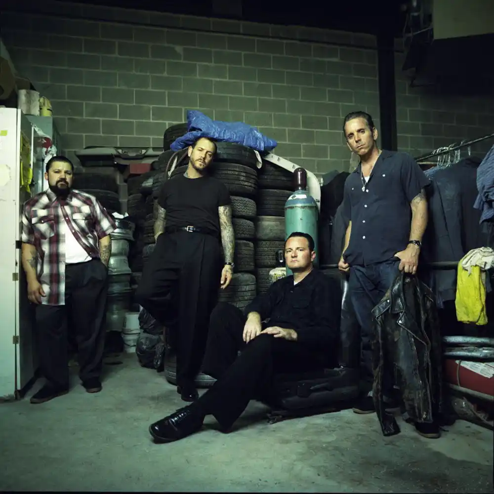 Social Distortion