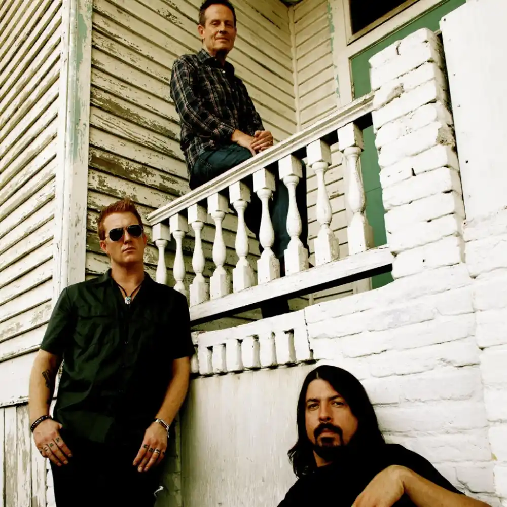 Them Crooked Vultures